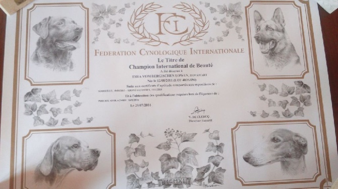 De L'Emeraude Des Alpes - Champion International de Beauté